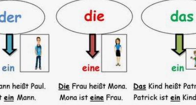 Ohne Artikel, unbestimmter Artikel oder bestimmter?