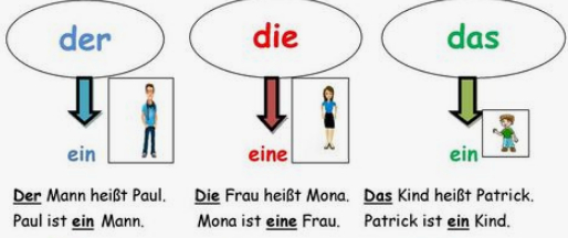 Ohne Artikel, unbestimmter Artikel oder bestimmter?